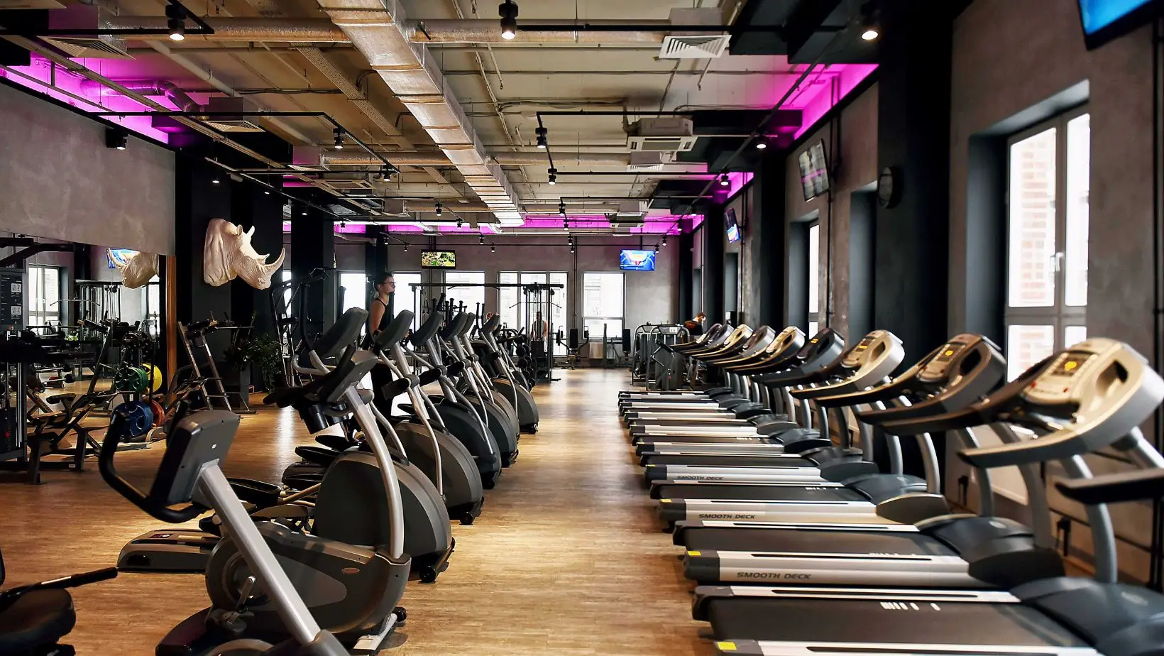 Modern gym with exercise equipment.